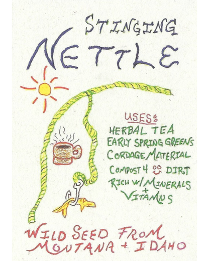 Stinging Nettle