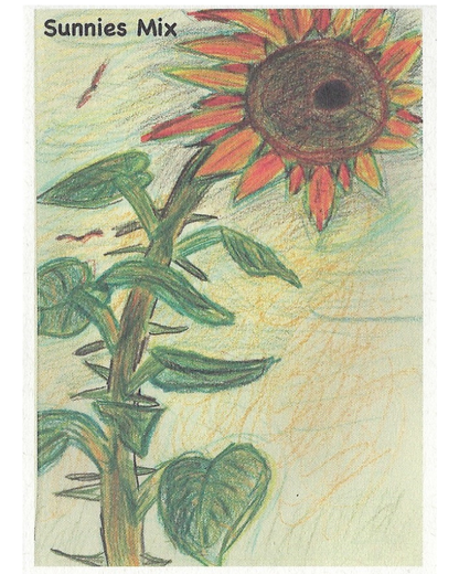 Sunflower, Family Sized Mix