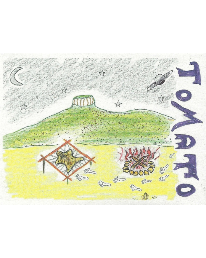 Tomato, Cherokee Purple