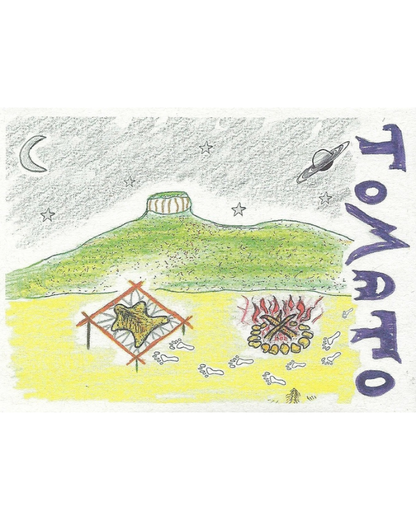 Tomato, Cherokee Purple