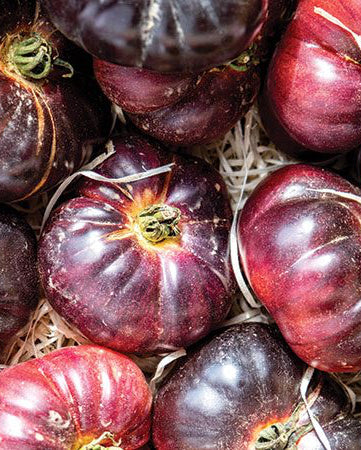 Tomato Purple Cherokee