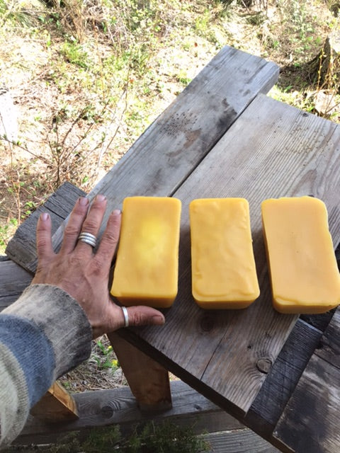 1 pound hand poured Montana Beeswax blocks – Montana Survival Seed
