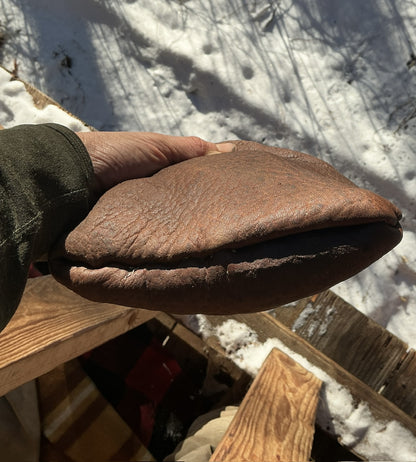 Montana Elk Natural Bark Tan Bag…Elk Antler Button