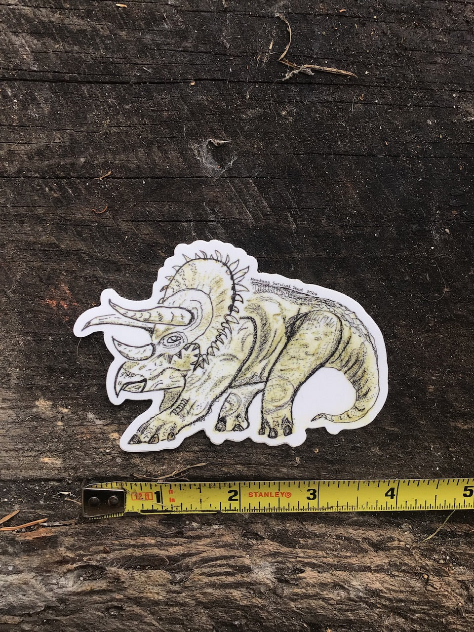 4 inch Triceratops