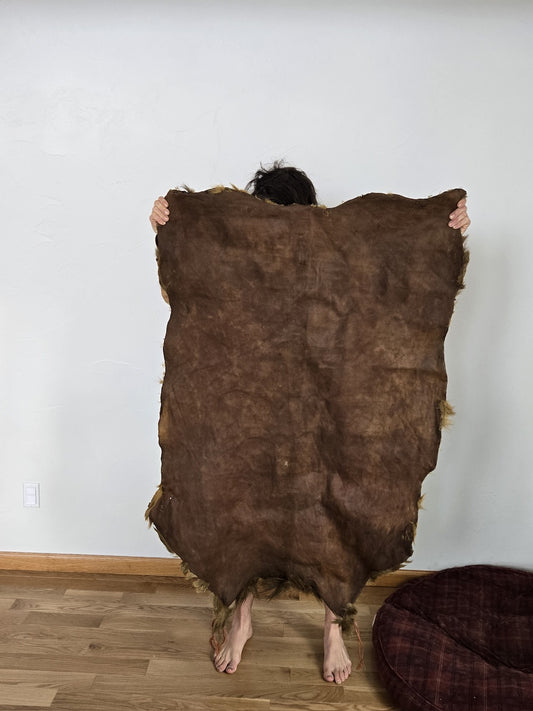 13 square foot Montana Elk barktan