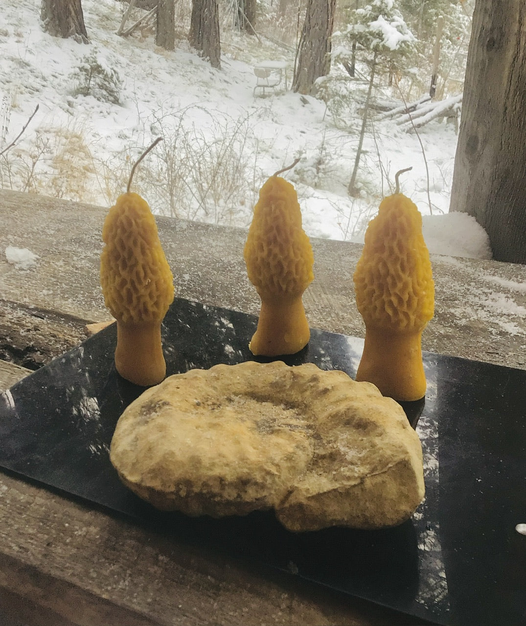 Candles…Morel Mushrooms