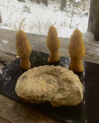 Candles…Morel Mushrooms