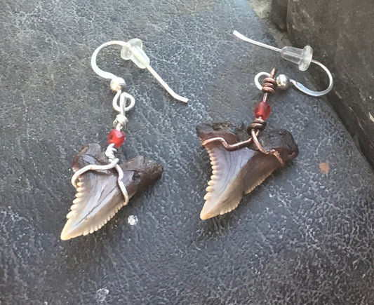 Snaggletooth Shark Ear Rings….3-31 million years old