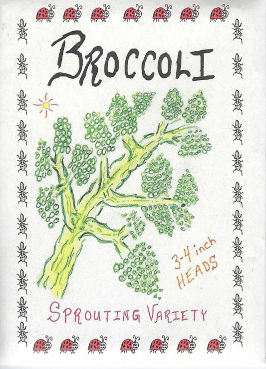 Broccoli, Di Ciccio