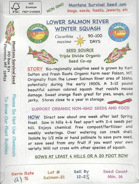 WINTER SQUASH, LOWER SALMON RIVER