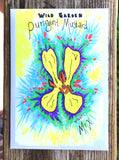 certified organic mustard seed from wild garden seed seeds oregon hand drawn seed packets printed solar power