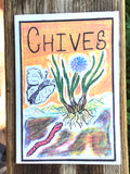 organic chives seeds seed montana hand drawn seed packet art printed with renewable soloar power