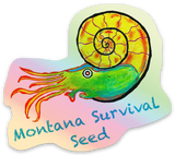 STICKERS…ammonite