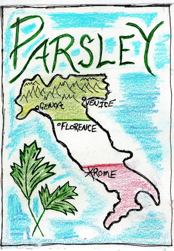Parsley, Flat Leaf Mix