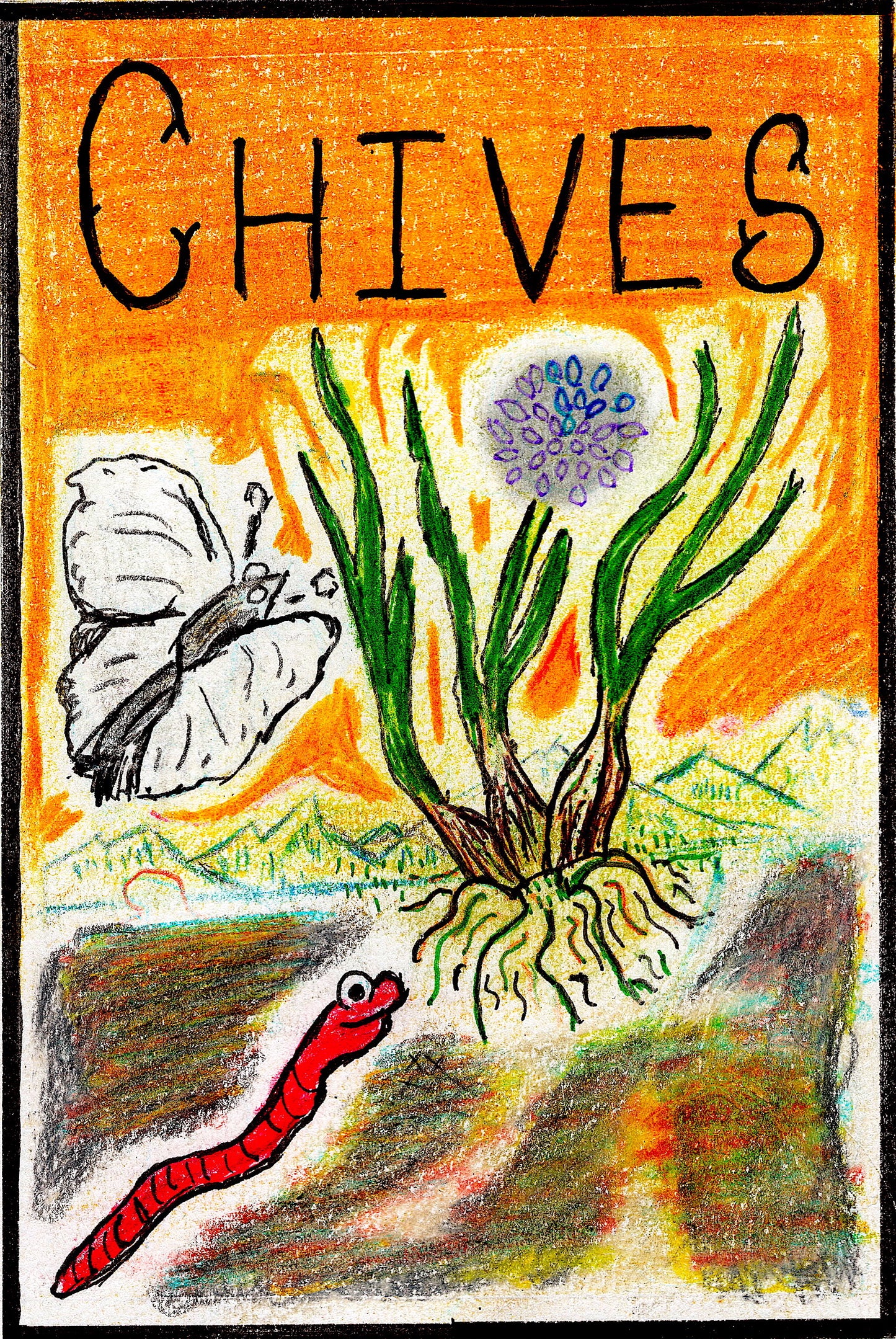 organic chives seeds seed montana hand drawn seed packet art printed with renewable  soloar power