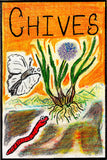 organic chives seeds seed montana hand drawn seed packet art printed with renewable  soloar power