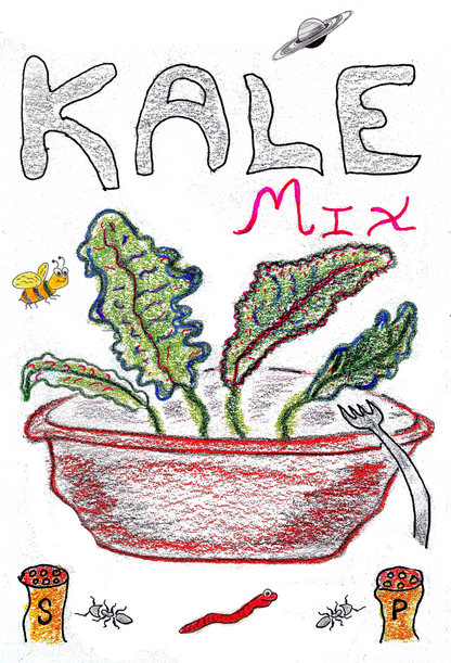 KALE, WILD GARDEN MIX