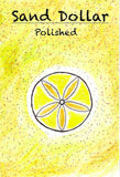 sand dollar image drawing hand draw fossil fossil fossils dinosaur megalodon ammonite kids parents starter kit kits seeds heirloom organic museum lizards old stuff ancient ammonite ammonites trilobite trilobites primitive skills ancestral 