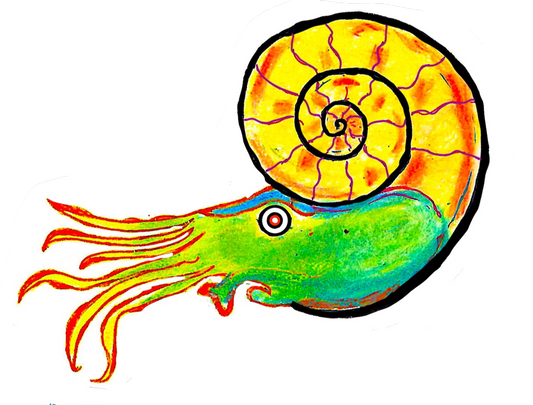 Ammonite Organic Shirt